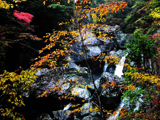31096 (a): :1024x768